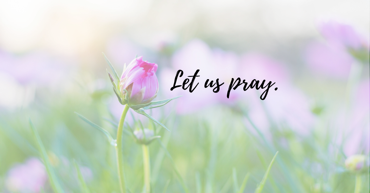 pin-by-liz-chalfant-on-me-pray-for-the-world-pray-prayers