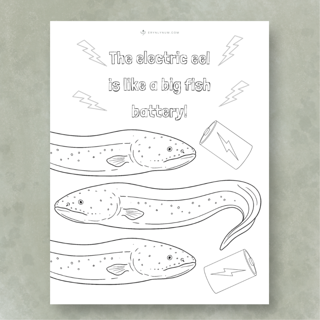 electric eel facts