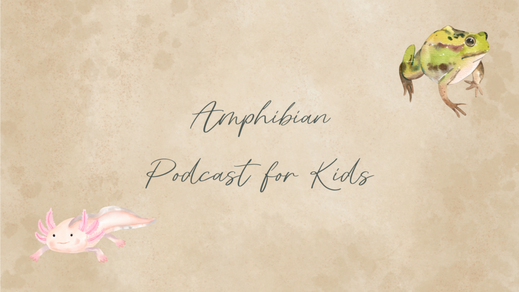 Amphibian facts for kids