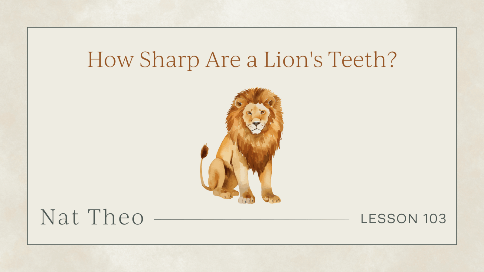 how sharp are a lions teeth?