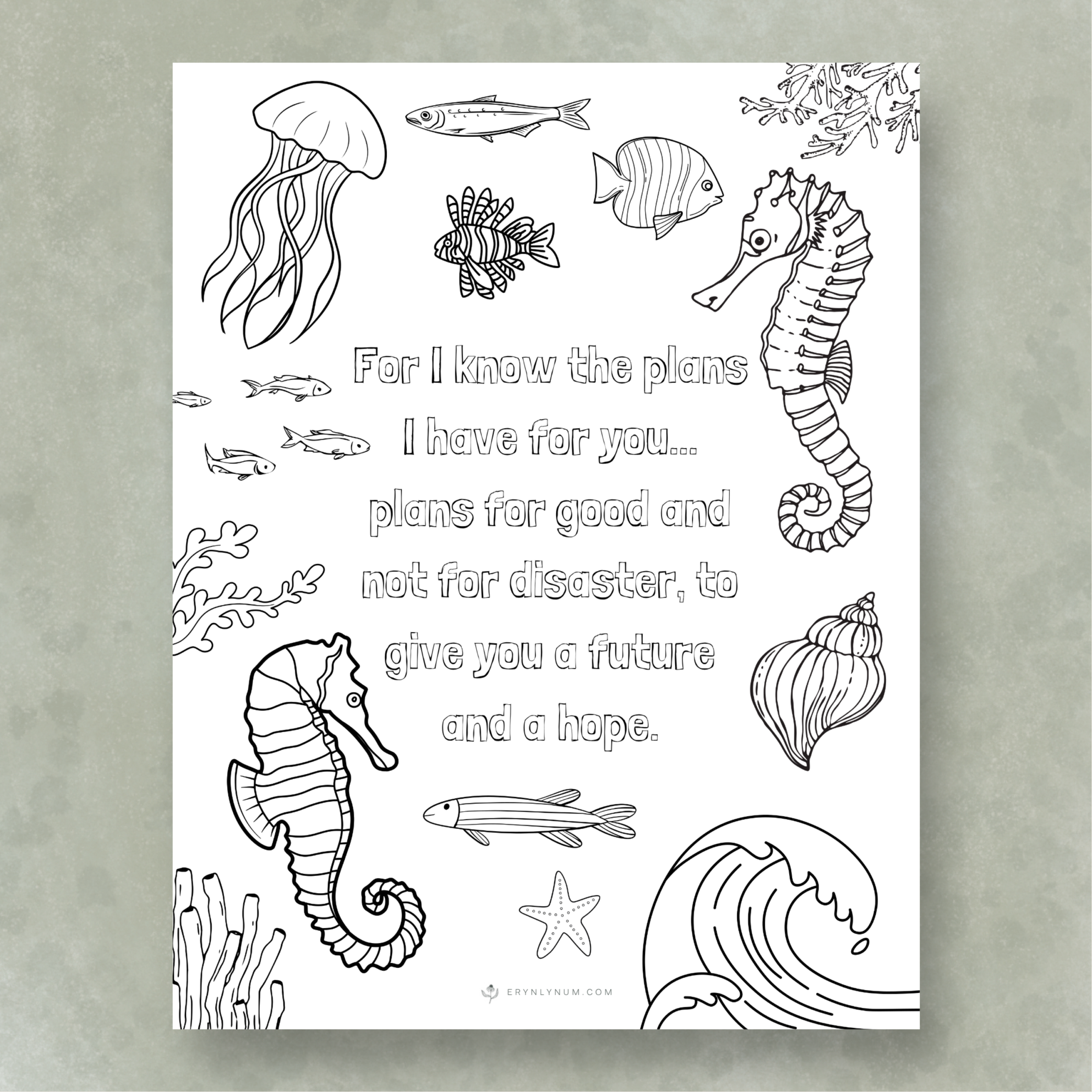 Seahorse coloring sheet