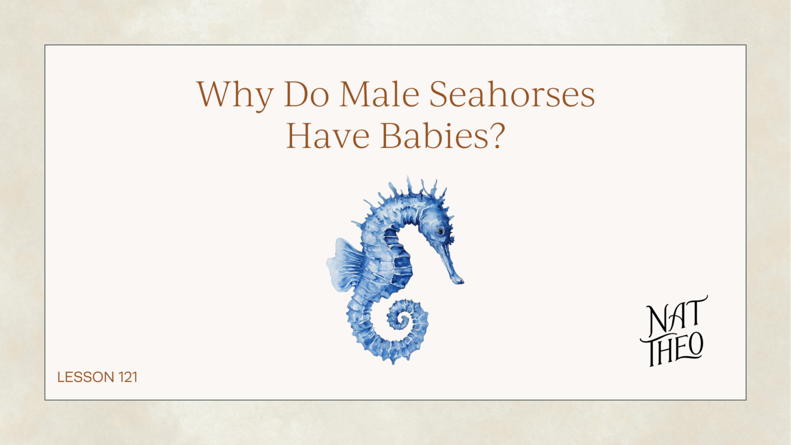 Why Do Male Seahorses Have Babies?