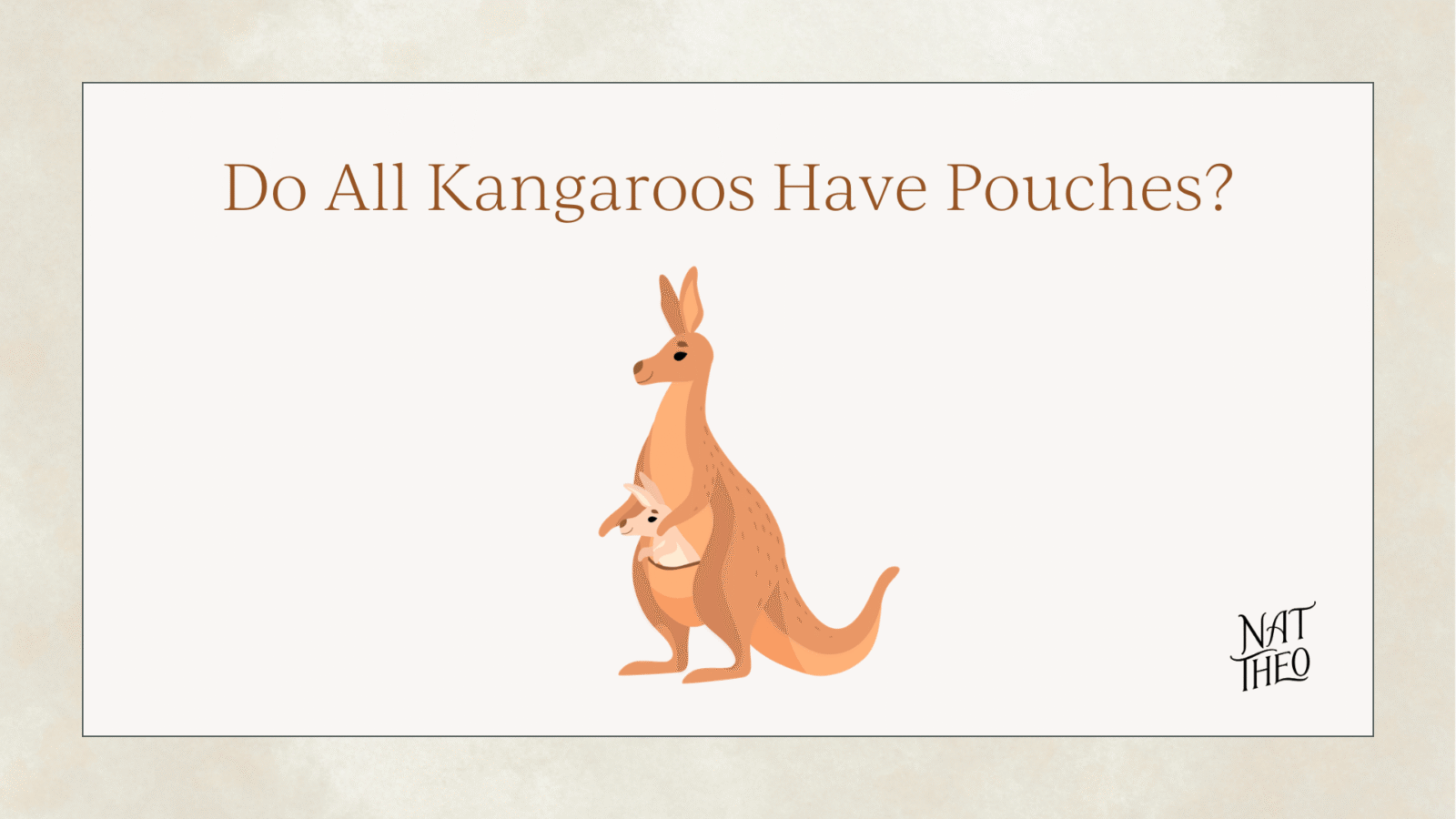 kangaroo facts for kids